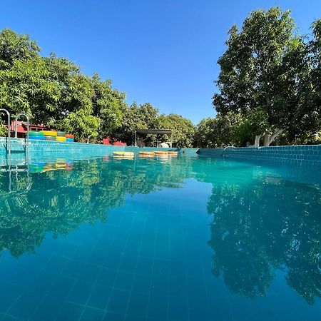 Amraness Luxury Resort Sasan Gir Extérieur photo