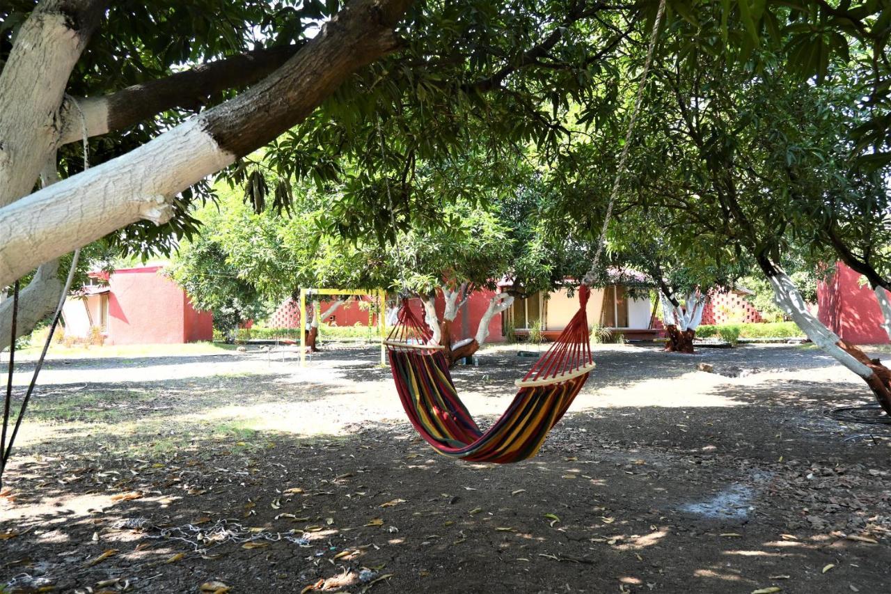 Amraness Luxury Resort Sasan Gir Extérieur photo